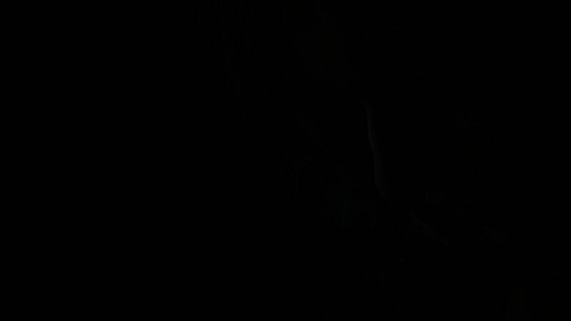 主角持枪警戒于狭窄走廊，前方阴影中似有怪物潜伏，气氛紧张至极