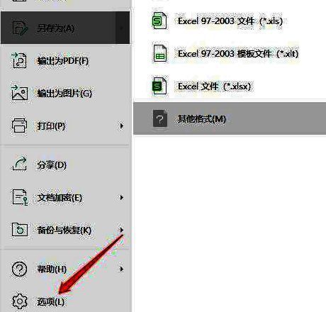 WPS选项入口界面，红色箭头指向左下角的‘选项’按钮，突出显示其位置