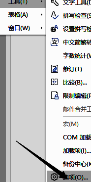 WPS选项入口界面，工具下方显示‘选项’按钮