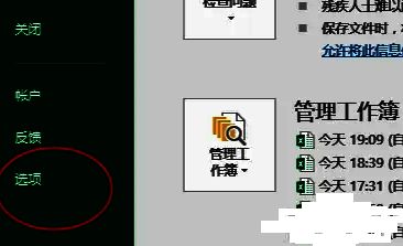 Excel选项按钮位置图示，位于文件菜单下方侧边栏