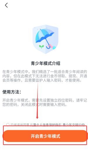 密码设置成功提示界面，显示‘青少年模式已开启’字样
