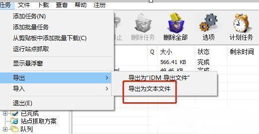 IDM导出向导界面，选中导出为文本文件选项