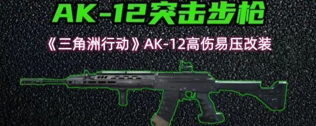 《三角洲行动》中AK-12突击步枪整体外观展示，深黑色枪身搭配战术导轨与配件，充满现代战斗气息