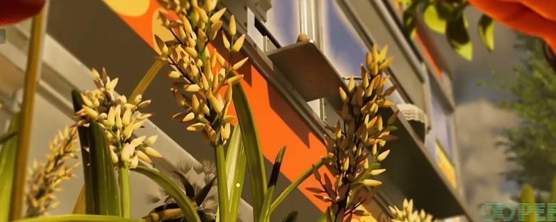 《禁闭求生2》游戏中一株摇曳的狗尾草特写，周围环境为缩小后的庭院场景，光影细腻