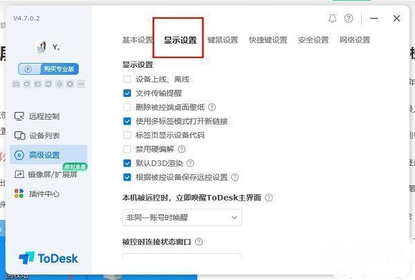 ToDesk高级设置页面中显示设置选项卡被选中，下方列出多项显示相关配置项