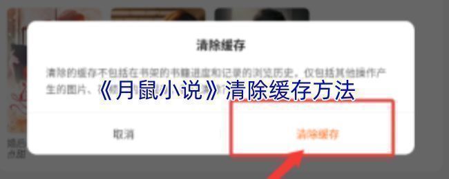 月鼠小说APP个人中心界面，展示‘我的’页面及设置入口位置