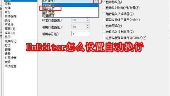 EmEditor软件界面展示文本编辑场景，界面清晰显示菜单栏和文本内容区域