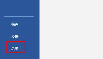 Word文件界面底部的‘选项’按钮特写，提示进入高级设置