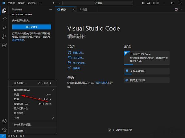 Vscode设置页面左侧栏高亮显示‘文本编辑器’选项，右侧对应显示其子设置项