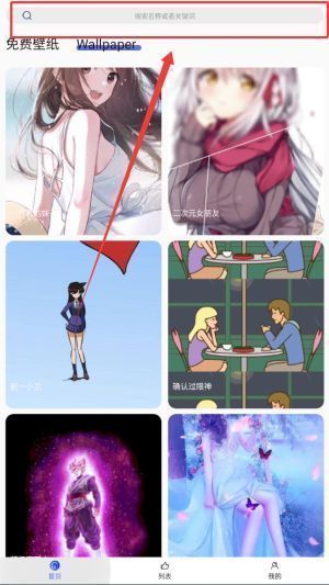 用户正在彩虹主题壁纸App中输入“极光”作为搜索关键词的操作界面