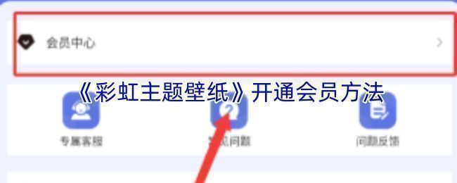 彩虹主题壁纸APP个人中心界面展示，页面中清晰标注了VIP会员入口位置