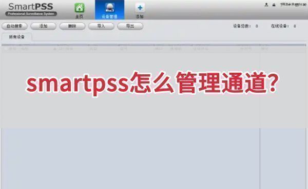 smartpss主界面展示多个监控通道列表，界面清晰显示设备连接状态