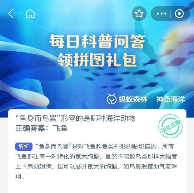 飞鱼跃出海面滑翔的动态示意图，展示其宽大的胸鳍如同翅膀般展开