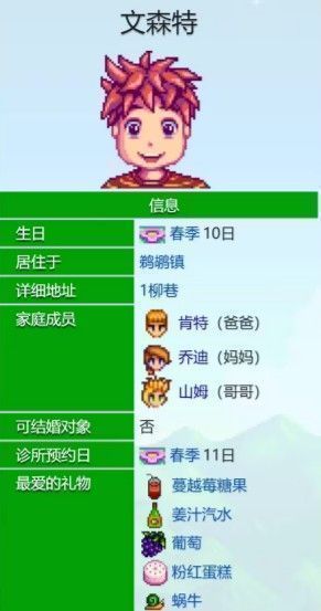 《星露谷物语》中文森特与贾斯在煤矿森林中交谈的剧情画面，阳光洒落林间小道