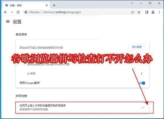 谷歌浏览器界面截图，展示用户遇到拼写检查无法打开的问题提示
