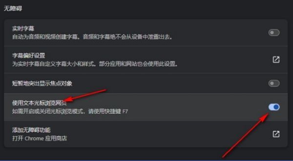 开关已开启状态展示，表示光标浏览模式已激活