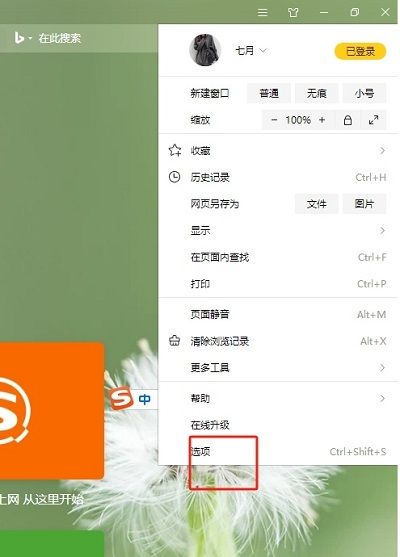 选项菜单项被高亮显示，位于下拉菜单中的中部位置