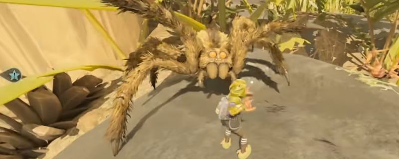 《禁闭求生2》中狼蛛Boss的战斗场景，体型巨大，八足狰狞，正对玩家角色发起攻击，周围环境为黑暗森林，氛围紧张