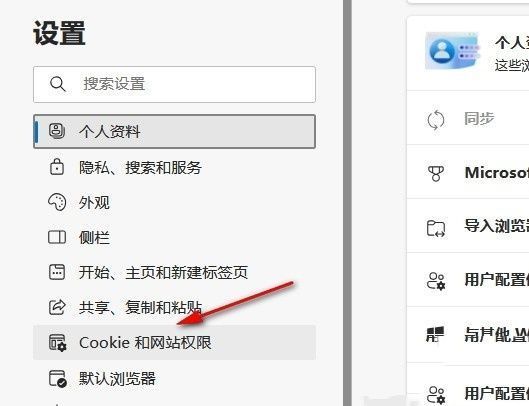 Edge设置页面左侧菜单选中‘Cookie 和网站权限’，右侧显示相关权限列表