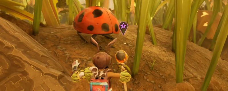 玩家角色站在瓢虫背部进行战斗的场景，背景为草丛环境，展现微观世界的视觉冲击