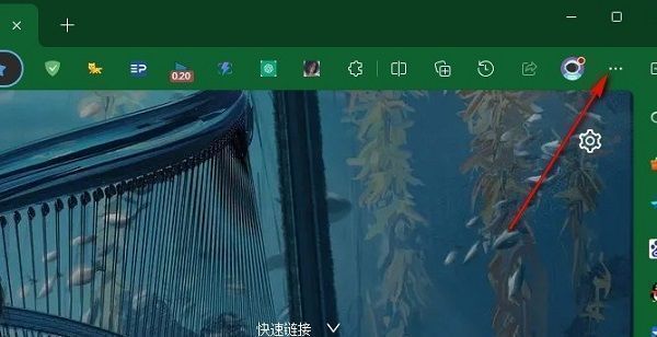 Edge设置页面，左侧选中个人资料，右侧高亮显示付款信息选项