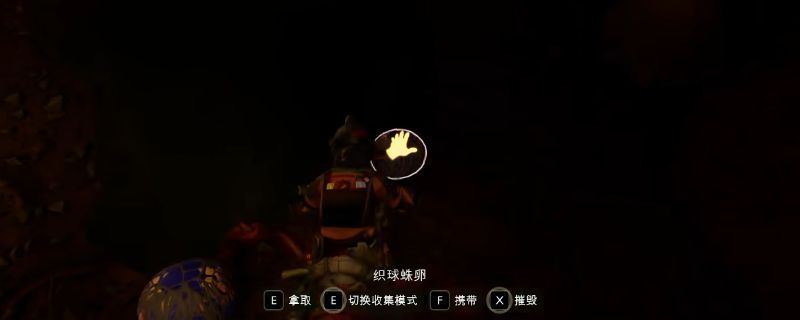 织球蛛卵在野餐桌下潮湿区域的特写画面，周围布满苔藓与水珠，突出其隐蔽的生态环境