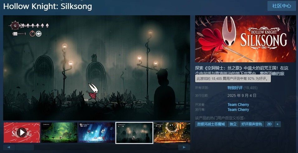 《空洞骑士：丝之歌》游戏主视觉图，主角大黄蜂持刃站立于丝线缠绕的异世界废墟之上，背景光影梦幻而诡谲