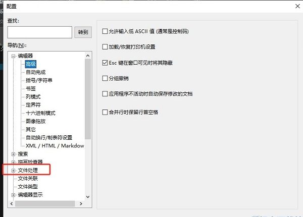 配置窗口左侧栏显示'文件处理'选项被选中，右侧为相关设置内容