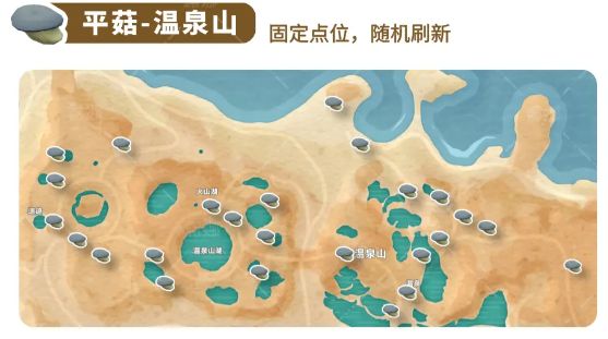 平菇成簇生长在温泉山石缝中，背景可见袅袅热气升腾