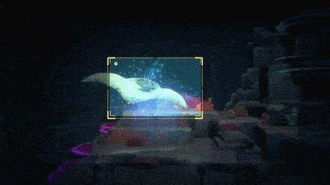 玩家在游戏中同时进行多项活动：潜水采集、喂猫、查看图鉴、参与赛马投注，界面信息丰富但布局清晰