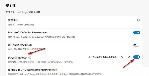 网站拼写错误保护开关已打开，显示为蓝色开启状态