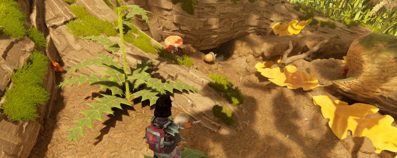 玩家正在用马弓远程射击地面的蜘蛛卵，周围散落着破碎的卵壳和刚爬出的小蜘蛛，场景细节清晰