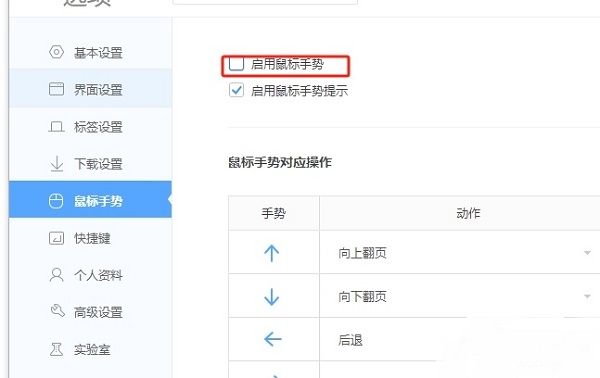 启用鼠标手势开关已勾选状态截图，视觉反馈明确