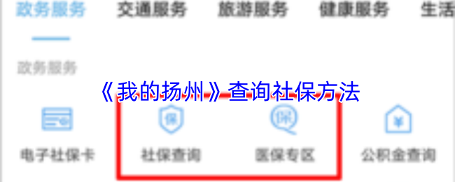 社保查询结果页面，显示社保缴费记录与医保账户余额详情