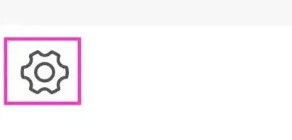 设置页面截图，高亮显示右上角的 '>' 导航箭头，背景为浅色主题
