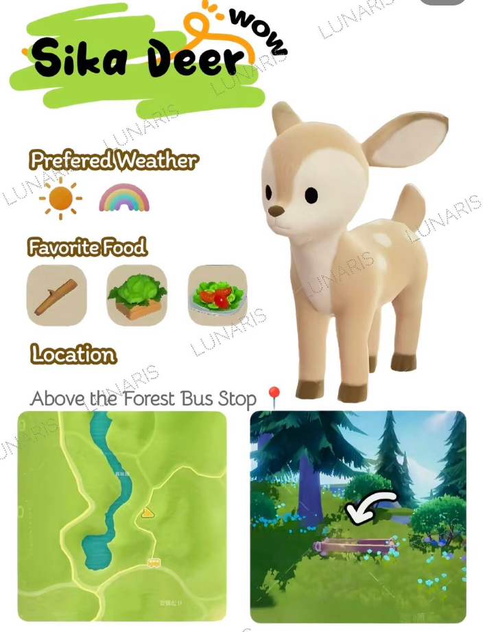 《心动小镇》四季主题截图：秋季枫叶飘落于水豚食槽边缘，槽内盛满新鲜瓜果