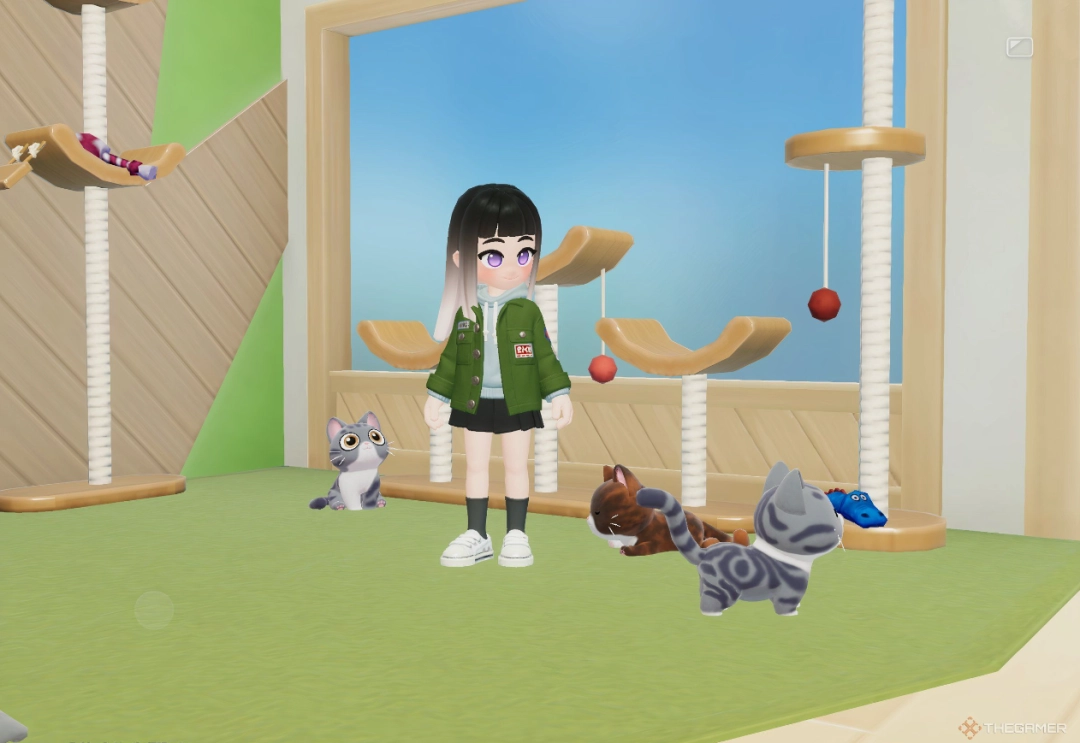 温馨室内场景：木质地板上猫咪慵懒打盹，旁边小桌上摆放着刚完成的蝴蝶标本框与一本翻开的观鸟笔记，窗外隐约可见玩家角色手持钓竿走向湖边的身影