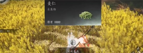 成就界面点亮效果：‘风吹麦浪’图标泛起淡青色微光，描述文字浮现‘麦香初起，风过无痕’