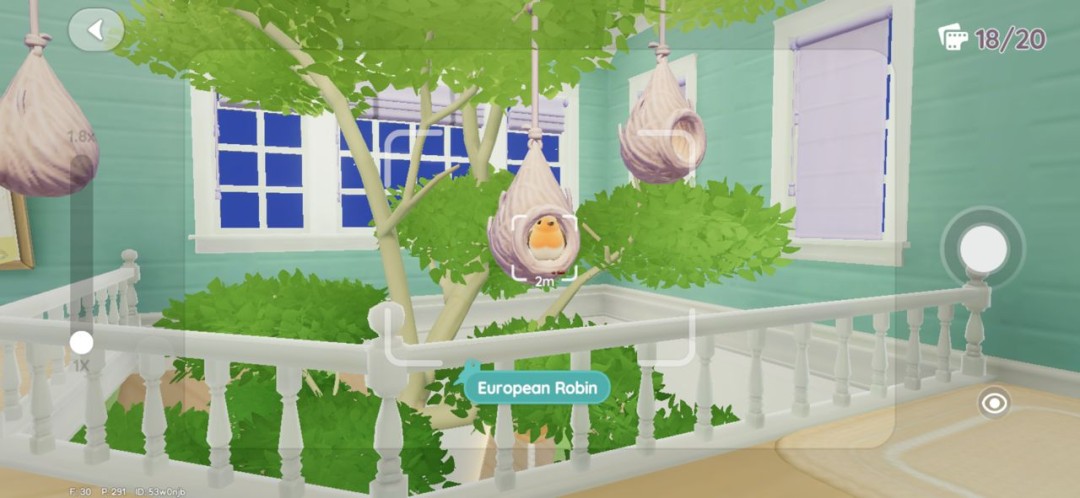 NPC贝利J在木屋前微笑递出鸟食罐头，主角手中相册翻开显示已收录7种鸟类照片，背景可见悬挂着三张装裱好的鸟照