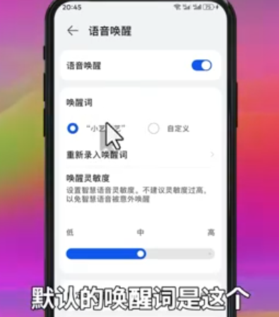 手机系统设置页面截图，高亮显示‘智慧语音’菜单项，子选项‘语音唤醒’与‘电源键唤醒’均处于开启状态，右侧滑动按钮呈蓝色激活态