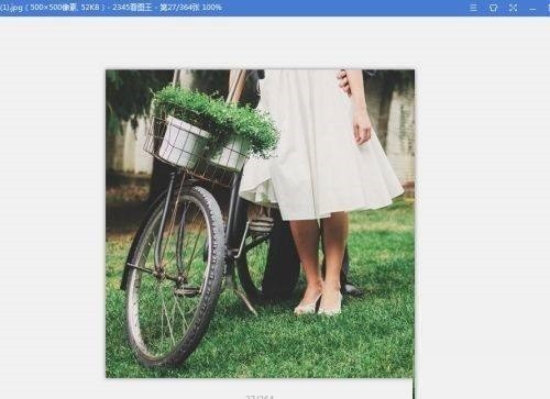 2345看图王软件主界面截图，蓝色主题，顶部为文件、编辑、查看等菜单栏，中央显示欢迎页