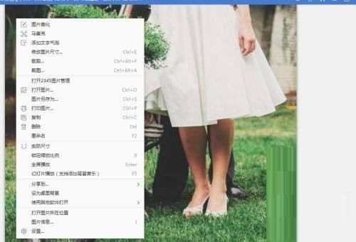 鼠标右键弹出的快捷菜单特写，选项纵向排列，包含‘放大’‘缩小’‘实际大小’‘适合窗口’及‘锁定缩放比例’等条目