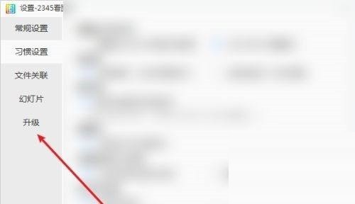 2345看图王升级设置页特写，‘立即检查更新’按钮呈蓝色高亮状态，上方开关已切换为手动模式