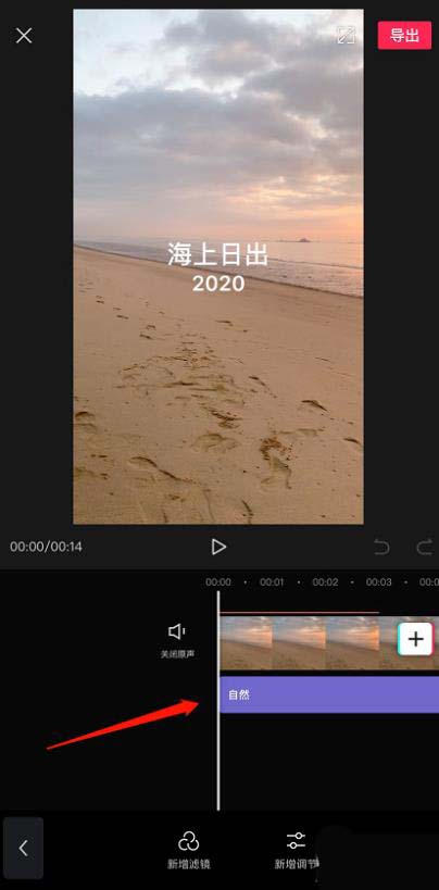 用户点击已启用滤镜后，界面底部弹出操作浮层，包含‘删除’‘复制’‘调整强度’三个选项按钮