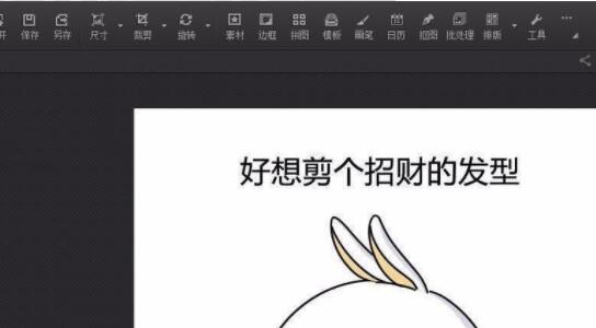 光影魔术手主界面截图，左侧为图片预览区，右侧功能面板高亮显示‘数码暗房’选项卡