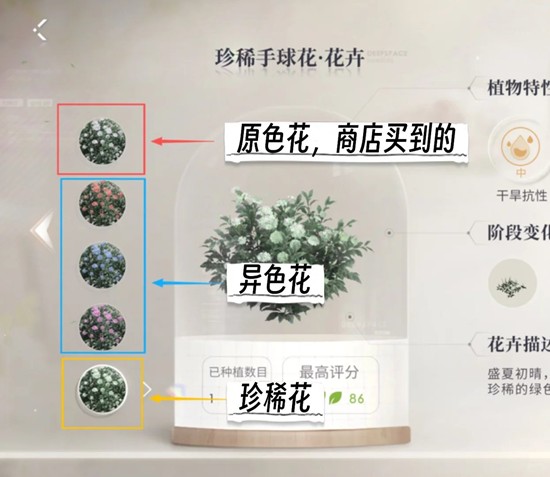 游戏内二胡互动界面特写：角色轻抚古琴，琴弦泛起淡粉色光波，下方实时显示‘茁壮度+12’动态数值