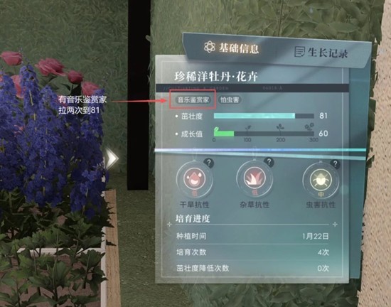 家园装饰效果对比图：左图为普通布置，右图中客厅中央绽放一朵泛蓝光晕的珍稀花，周围家具浮现出细腻粒子光效