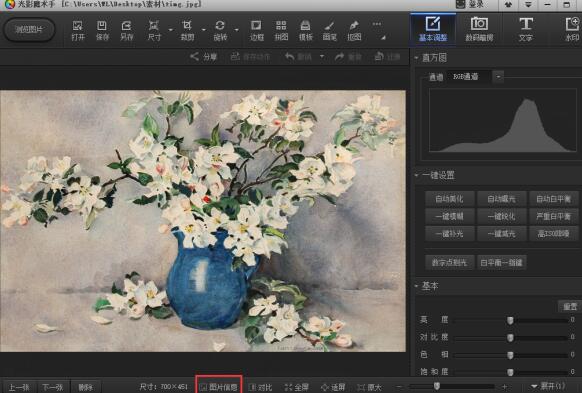 EXIF信息完整展开视图，左侧为参数分类导航树，右侧主区域分栏展示‘相机设置’‘拍摄环境’‘版权信息’三大模块