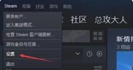 Steam设置页面左侧导航栏高亮‘账户详情’，右侧主区域显示‘更改密码’蓝色文字链接，下方附有锁形安全图标