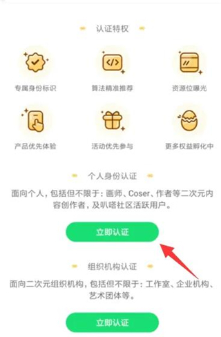认证成功页面截图，背景为浅蓝色渐变，中央大号字体显示‘✅ 实名认证已完成！’，下方列出三项已解锁权益图标：VIP标志、爱心打赏符号、对话气泡评论图标